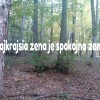 Zoznámenie